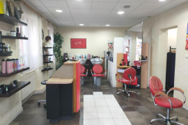 Vends salon de coiffure nord de haguenau à reprendre - Arrond. Haguenau-Wissembourg (67)